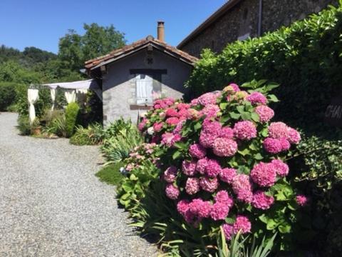 Loft Atypique Bed & Breakfast Villeneuve-de-Riviere ภายนอก รูปภาพ