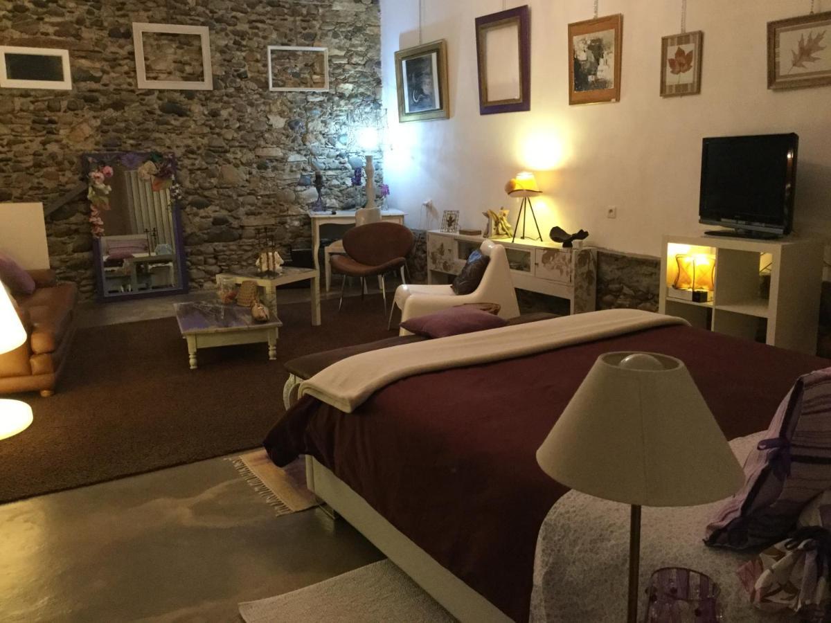 Loft Atypique Bed & Breakfast Villeneuve-de-Riviere ภายนอก รูปภาพ